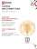 LED lamp LED-GL-95-deco gold 9W 230V E27 3000K 1040Lm gold IN HOME