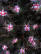LED Christmas Garland ERA ENIN-3P Thread Gifts 3M Cool Light