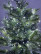 LED Christmas Garland ERA ENIN - GC Tinsel 3.9m Green Wire Cold Light