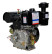 Двигатель Lifan Diesel C195FD-A, вал 25мм, катушка 6 Ампер