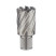 No.125 core drill Ø31/30 mm HSS M2 WELDON 19 1 piece