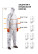 Reusable painting jumpsuit Jeta Safety JPC75g, size XXXL, gray, - 1 pc.