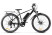 Gelbert Ran 3 PRO electric bike, grey