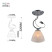 Rivoli Kathleen 9110-201 Ceiling lamp 1 * E27 60W modern for stretch ceilings