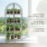 Greenhouse window sill greenhouse with rounded top Geoplastboard 46x24x100 cm 4 shelves color white
