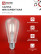 LED Lamp LED-ST64-deco 9W 230V E27 4000K 1140Lm transparent IN HOME
