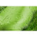 Сапоги женские ЭВА, размер 37, светло-зеленые