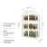 Greenhouse window sill greenhouse with rounded top Geoplastboard 46x24x75 cm 3 shelves color white