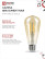 LED lamp LED-ST64-deco gold 11W 230V E27 3000K 1160Lm gold IN HOME
