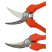 Scissors for harvesting and floristry, 30 pcs. in the package P123-19-BULK30