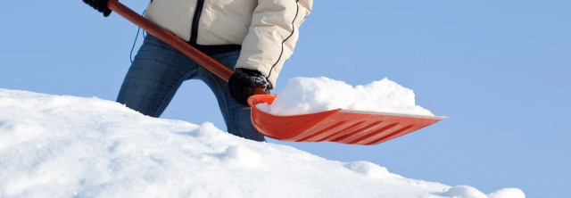 
Berchouse is a leading Russian company in the field of garden equipment production
