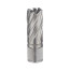 No.114 core drill Ø21/30 mm HSS M2 WELDON 19 1 piece