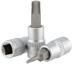 Головка со вставкой TORX T25 (1/2";L=55mm) АвтоDело (39326)