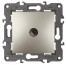 Розетка ЭРА Elegance 14-3101-04 TV одиночная IP20 шампань
