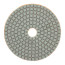Алмазный гибкий шлиф.круг (черепашка), 100мм, Р 400, Чеглок
