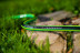 Garden hose GREEN ATS2™ 5/8" 50 m