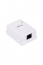 WRline WR-WS-8P8C-C5E-1 Computer socket RJ-45, category 5e, unshielded, single, external, Dual IDC, color white