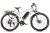 Gelbert Ran 3 PRO electric bike, grey