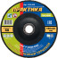 PRAKTIKA petal grinding wheel 180 x 22 mm P60 (1 pc.) Profi series (032-409)