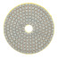 Алмазный гибкий шлиф.круг (черепашка), 100мм, Р 100, Чеглок