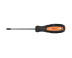 Phillips screwdriver N1 180x4.5x80 HORTZ