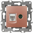 Розетка ЭРА Серия 12 12-3110-14 комбинированная RJ45+TV IP20 медь