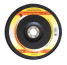 Petal circle F180X22,2 mm, K40, end conical