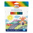 Markers Gamma "Classic", 12 colors, washable, cardboard. package, European weight