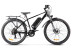 Gelbert Ran 3 PRO electric bike, black