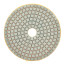 Алмазный гибкий шлиф.круг (черепашка), 100мм, Р 200, Чеглок