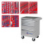 Set of tools "START" in a gray cart, 161 items MASTER 52-05161G
