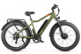 Electric bicycles