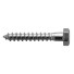 Screws and self-tapping screws