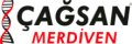 Cagsan