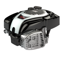 Двигатель Briggs&Stratton Series 750, 6,0 л.с., верт. вал, D=22.2, L=80, 161 куб.см. 1006020151H5YY7