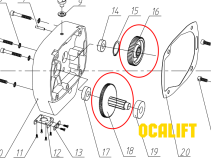 Gear pair 0201/0302
