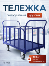 Тележка платформенная с трубчатыми бортами ТБ 1 (500х800) колёса d 125