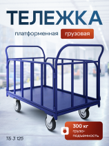 Тележка платформенная с трубчатыми бортами ТБ 3 (600х1000) колёса d125мм