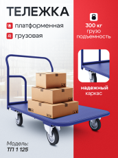 Тележка платформенная ТП 1 (500х800) колёса d 125 мм