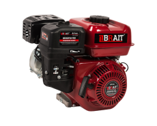 Petrol engine BR202P20 PRO