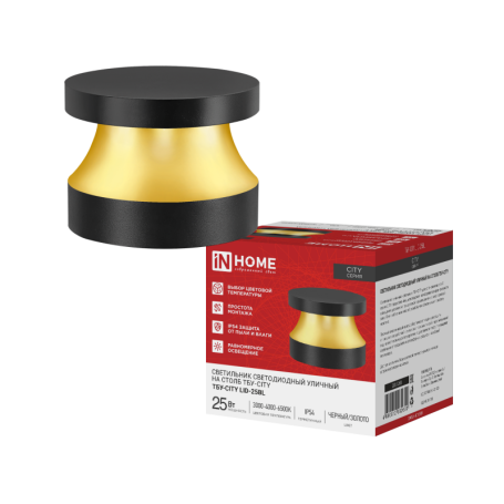 Светильник уличный светодиодный на столб ТБУ-CITY LID-25BL 25Вт 3000/4000/6500К 90x120мм черный IP54 IN HOME