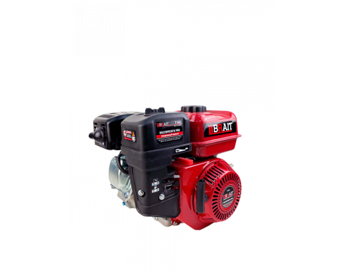 Petrol engine BR220PR207A PRO