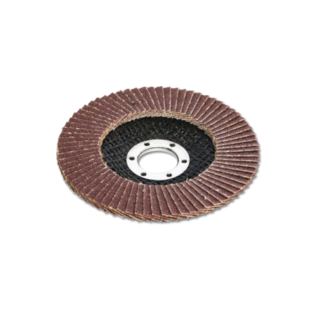 Circle "SANTOOL" petal end 115x22 mm metal grain size P60 (No. 25)