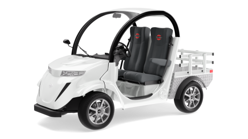 Elecar 5E Golf cart-TIGARBO 2G