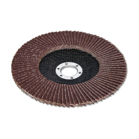 Circle "SANTOOL" petal end 150x22 mm in metal grain size P40 (No.40)