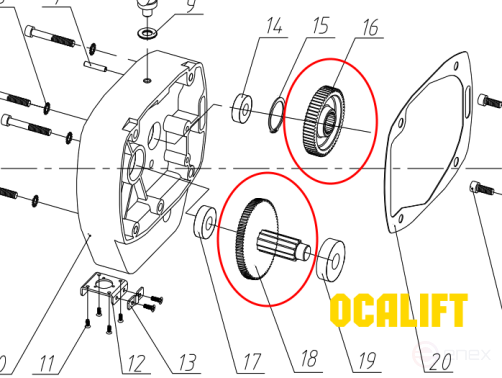 Gear pair 00501