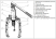 Hydraulic puller with integrated SG-5 pump (50-200 mm, 5 tons, universal design for installation of 2 or 3 grippers) MALIEN