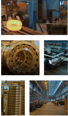 JSC "Stepnogorsk Bearing Plant"