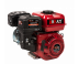 Petrol engine BR220P19 PRO