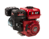 Petrol engine BR220P20 PRO